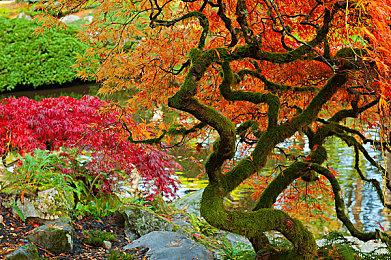 Xbox八月金会员会免游戏公布 包含《灾厄逆刃》等